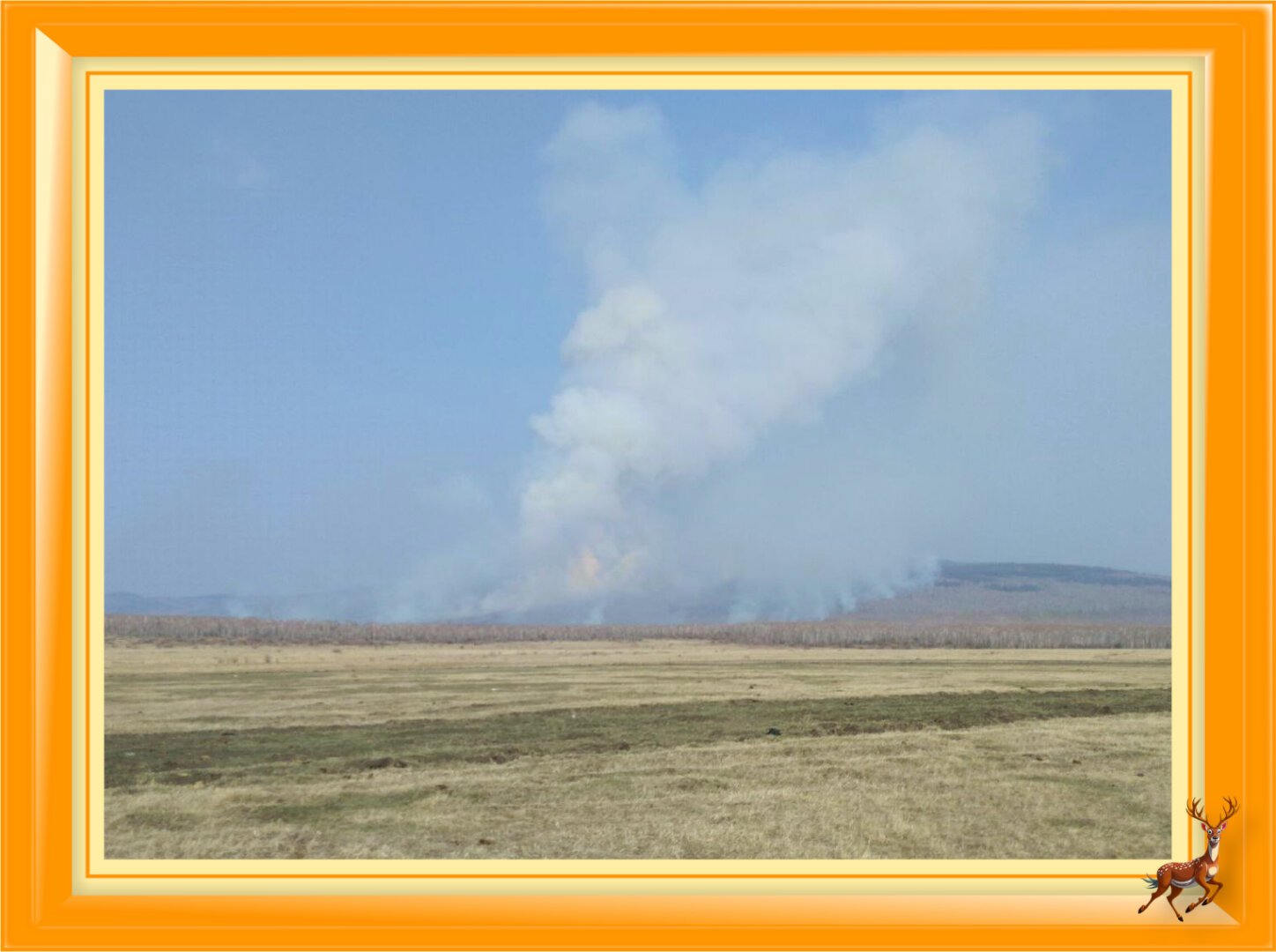 Пожар возле села Александровский Завод