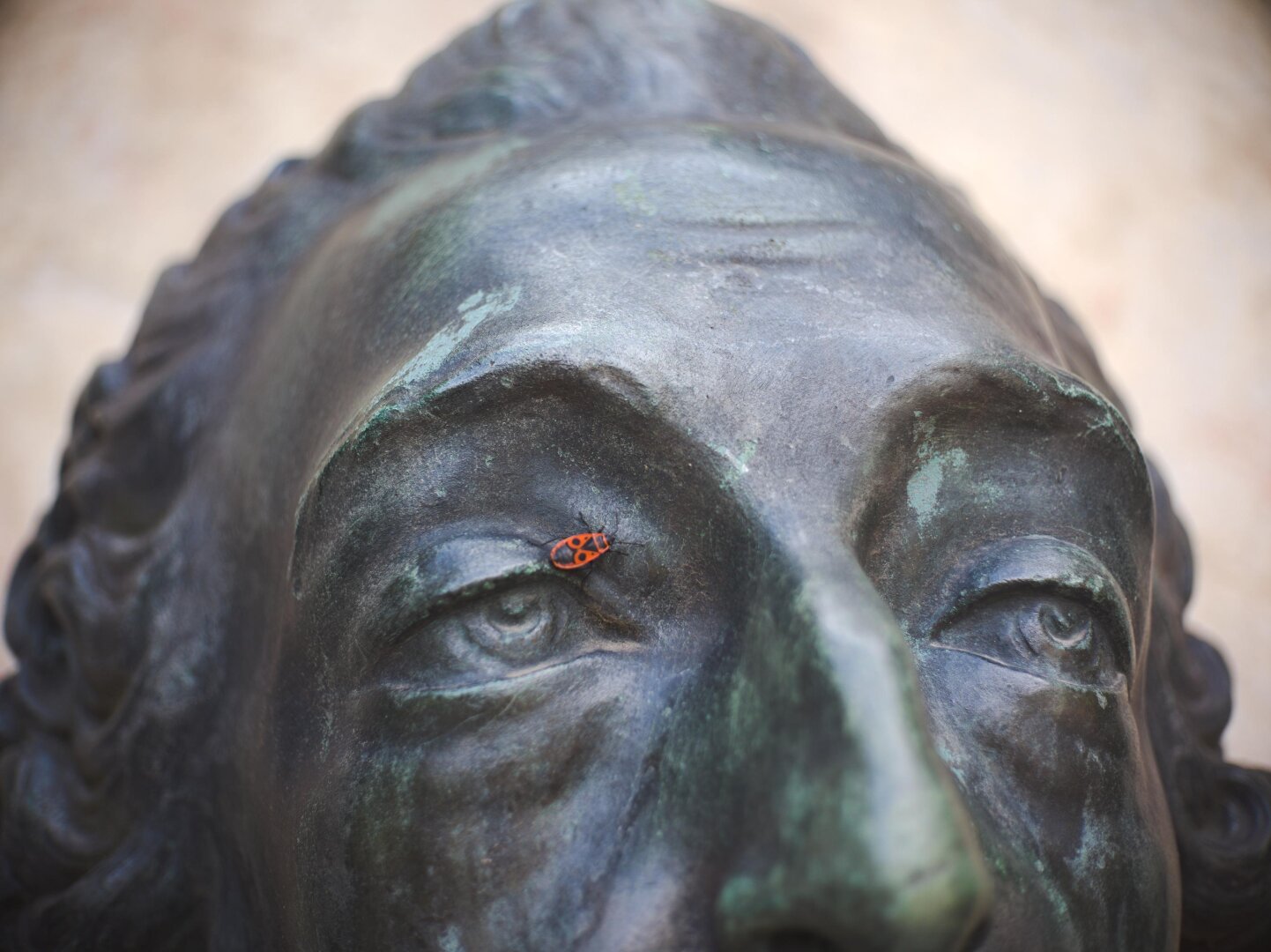 Bug climbing a bronze statue