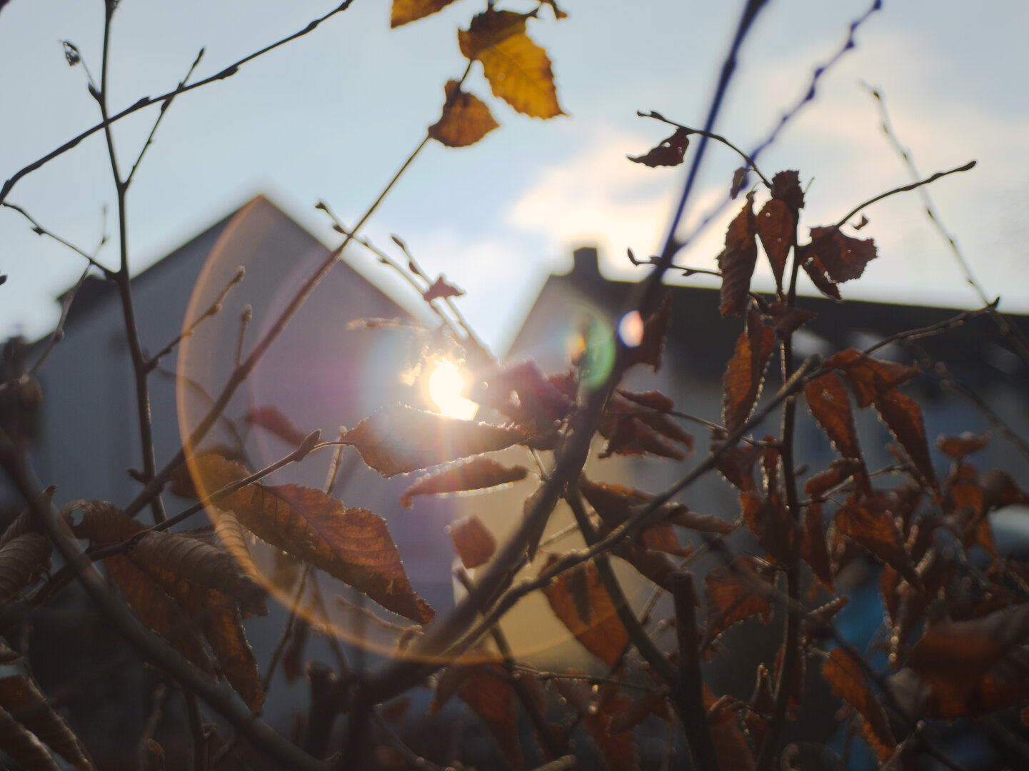 Sunfare between houses