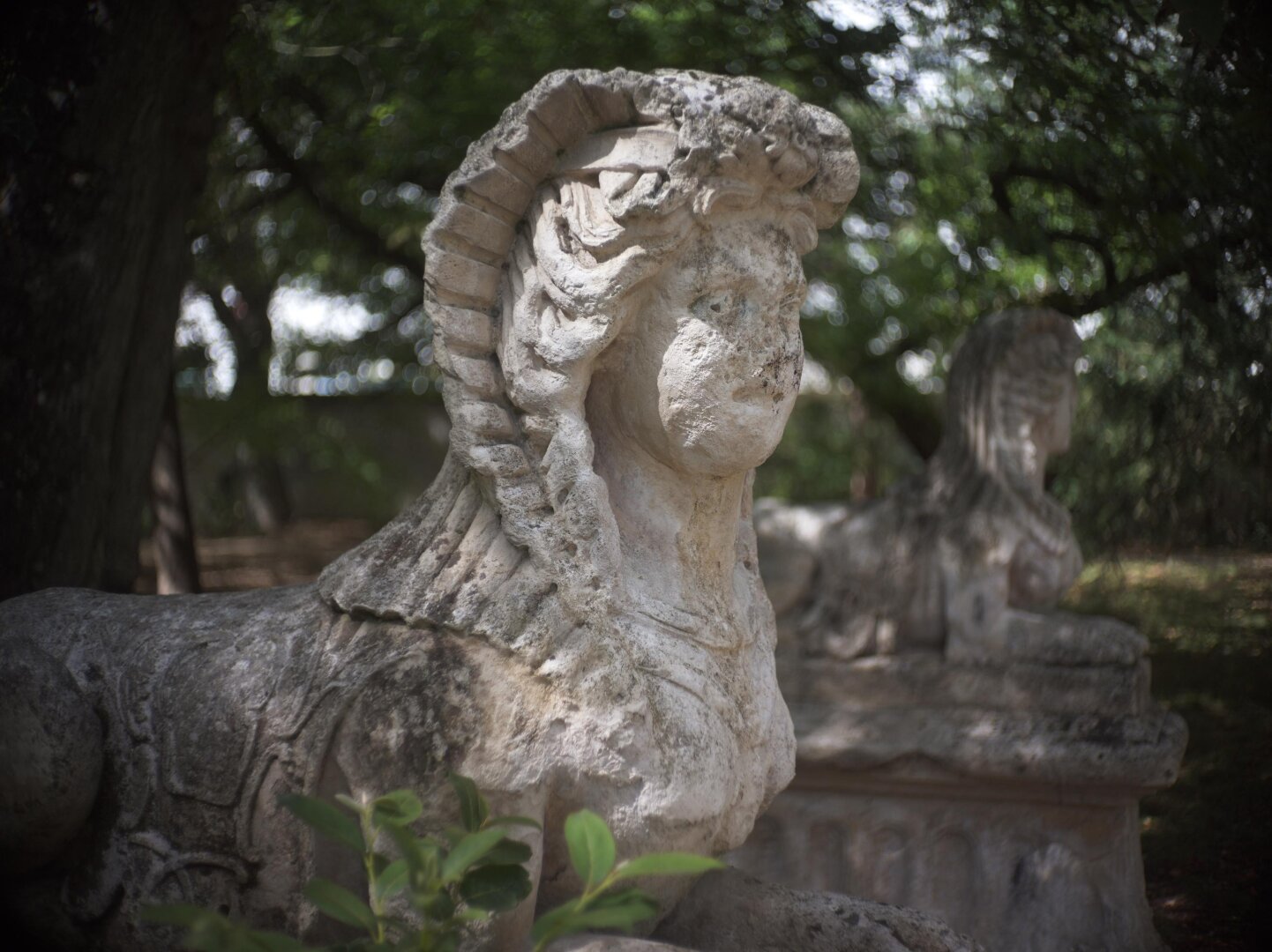 Closeup of a sphinks statue