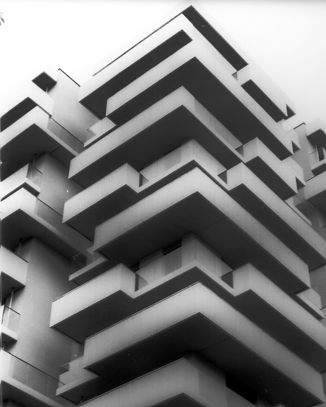 Black and white photo of architecture