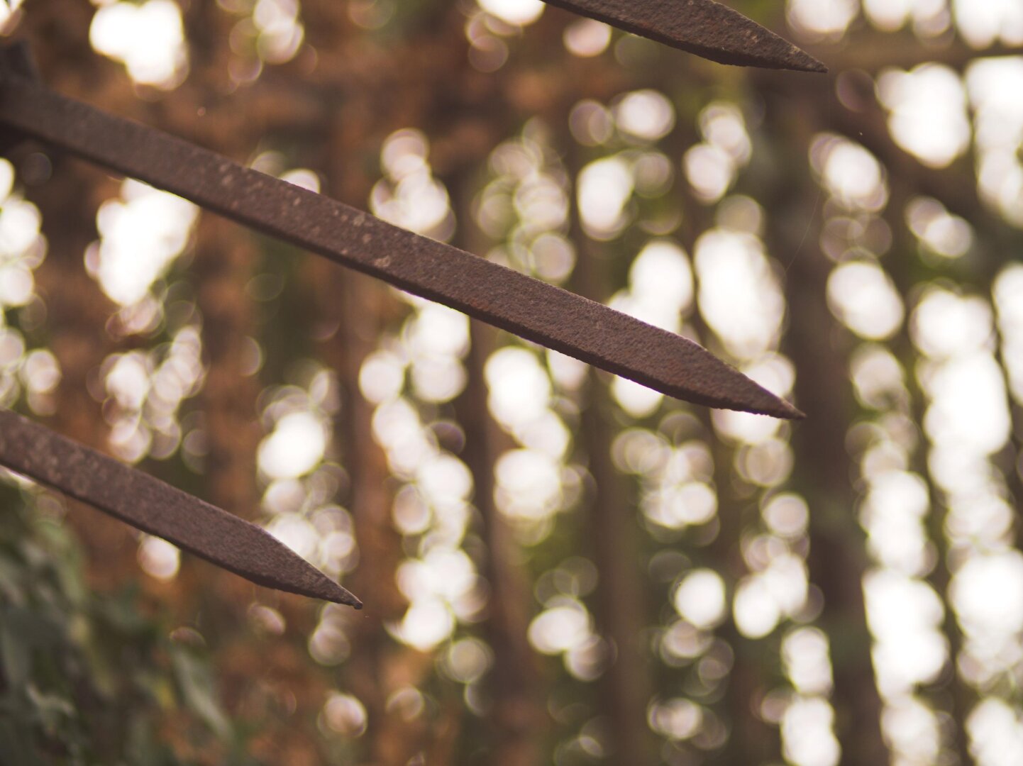spiked ends of a fence With nice bokeh in the background
