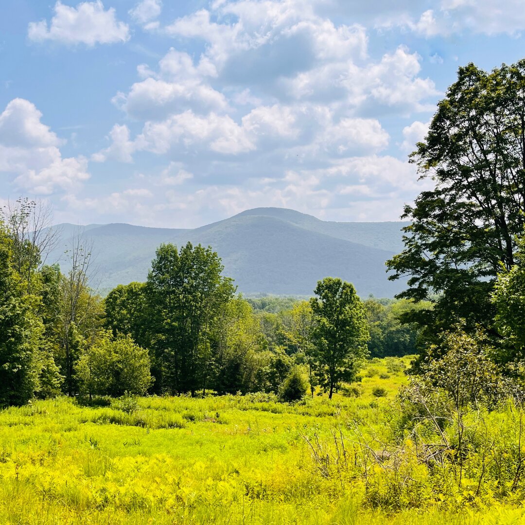 A meadow, hills, and puffy clouds