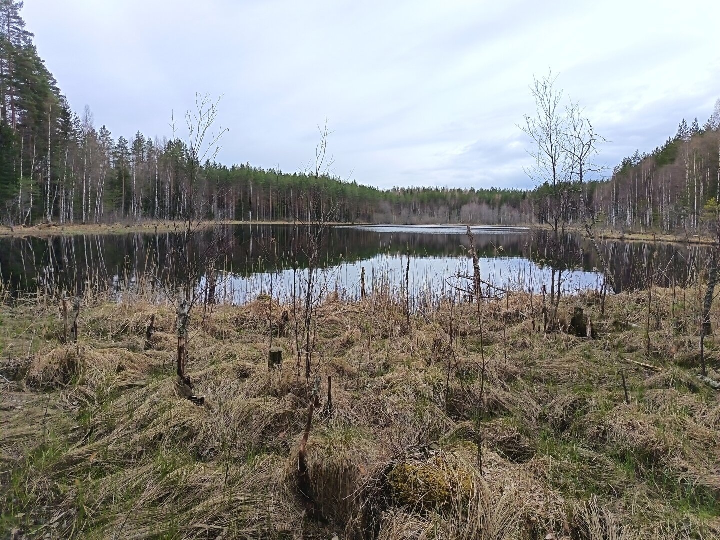 #hämeenlinna #nature #finland
