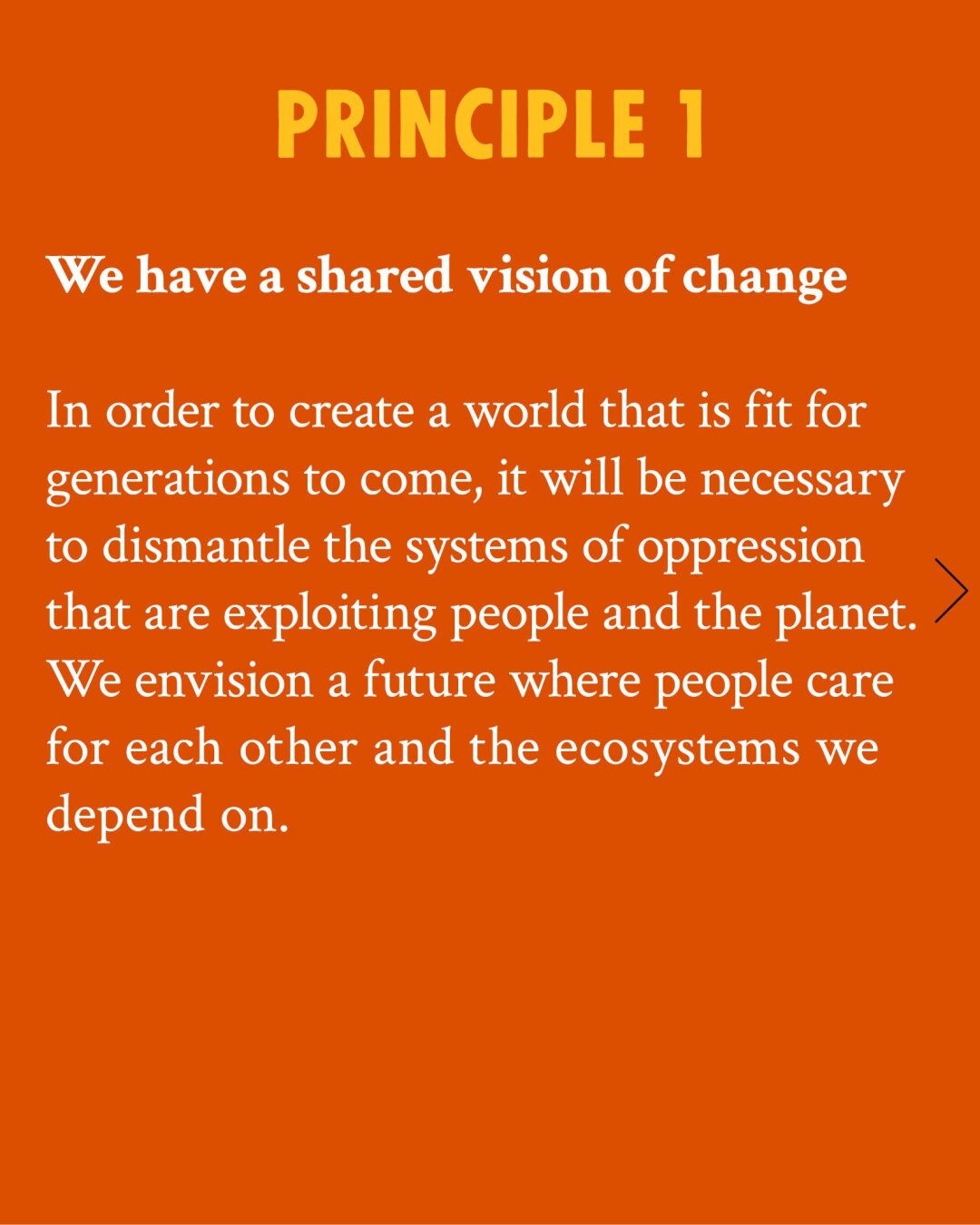 Principle 1: We named and made the connection between the oppressing and exploiting system, which lead us into the polycrisis.