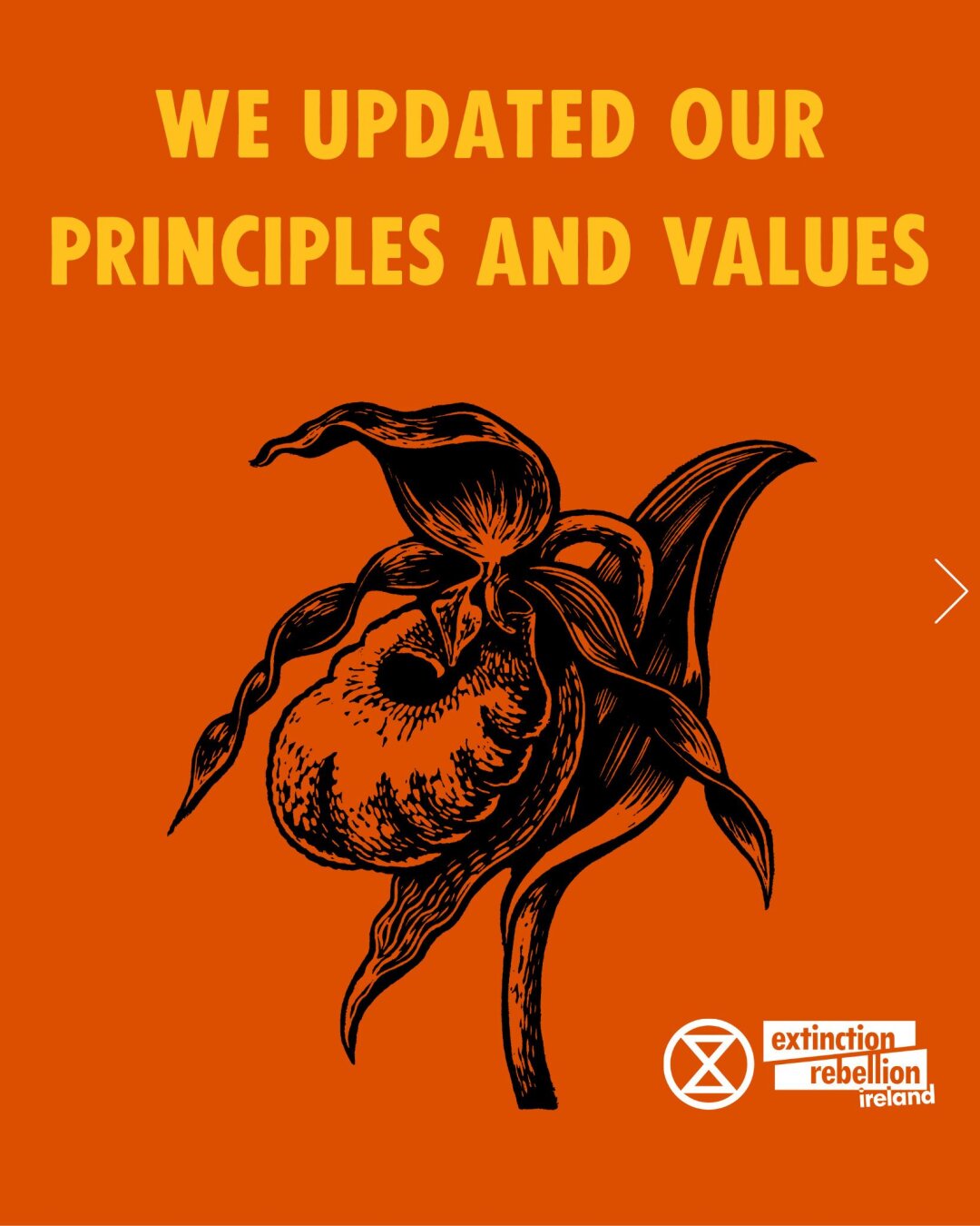 We updated our principles and values!

During years of urging for climate action, we went through a process of learning and realised that some of our principles weren't clear enough. In refining them, we hope to improve our communication.