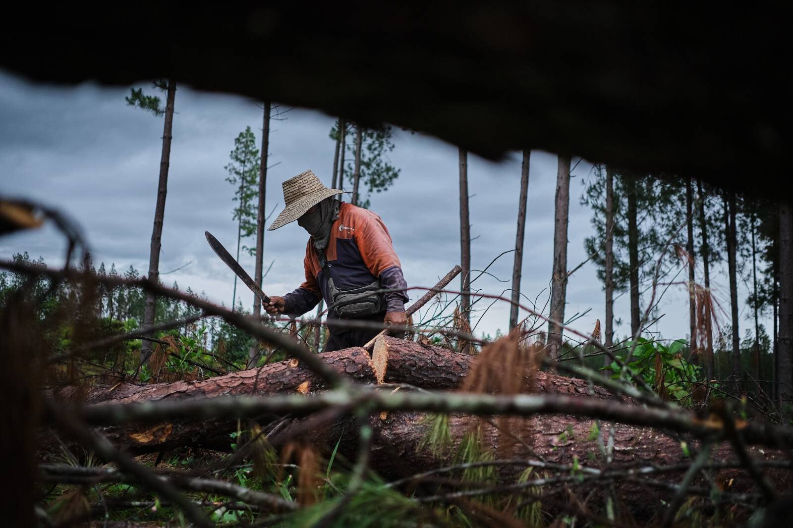 XRI stands in solidarity with land and environment defenders in Colombia challenging the Irish/US multinational Smurfit Westrock and decades of damaging extractive activities affecting biodiversity, contaminating water sources and violating human rights in Cauca, Colombia.

As an international movement fighting against biodiversity loss, ecological breakdown and social collapse, we demand justice for communities whose access to food sovereignty through sustainable agriculture has been prevented by Smurfit.