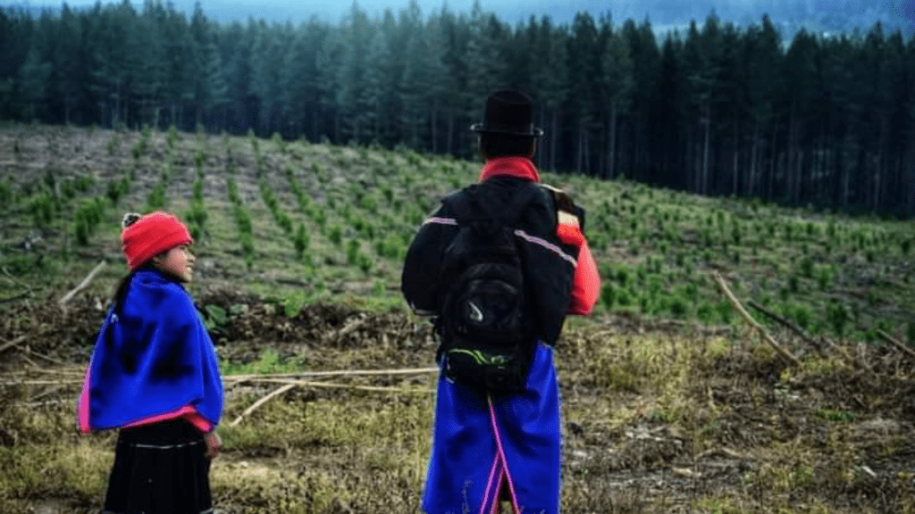 XRI stands in solidarity with land and environment defenders in Colombia challenging the Irish/US multinational Smurfit Westrock and decades of damaging extractive activities affecting biodiversity, contaminating water sources and violating human rights in Cauca, Colombia.

As an international movement fighting against biodiversity loss, ecological breakdown and social collapse, we demand justice for communities whose access to food sovereignty through sustainable agriculture has been prevented by Smurfit.