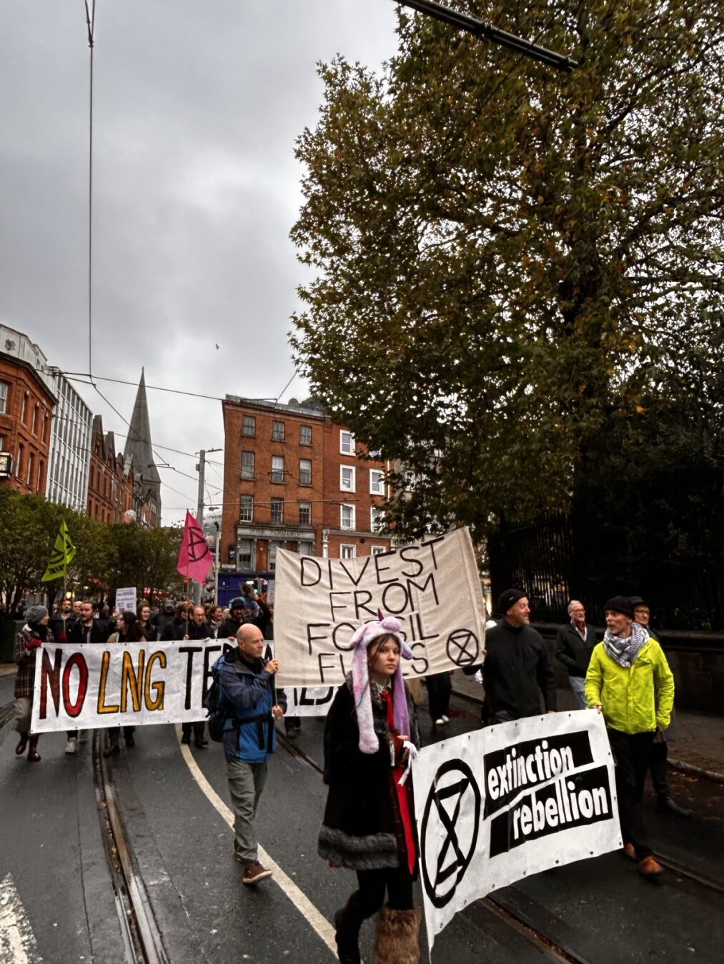 Protest - banners: No LNG terminals - Divest from Fossil Fuels - Extinction rebellion