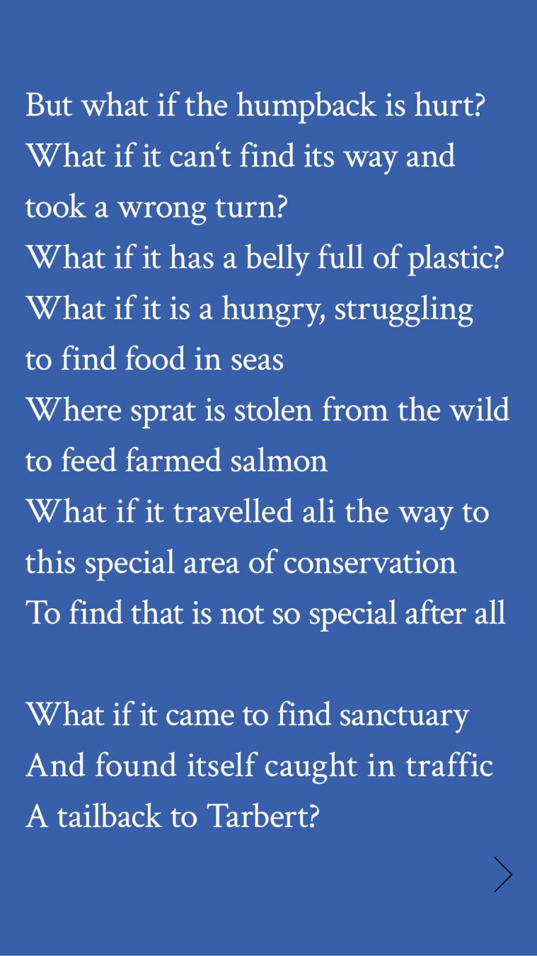 But what if the humpback is hurt?
What if it can't find its way and
took a wrong turn?

What if it has a belly full of plastic?
What if it is a hungry, struggling
to find food in seas

Where sprat is stolen from the wild
to feed farmed salmon

What if it travelled ali the way to
this special area of conservation

To find that is not so special after all
What if it came to find sanctuary
And found itself caught in traffic
A tailback to Tarbert?