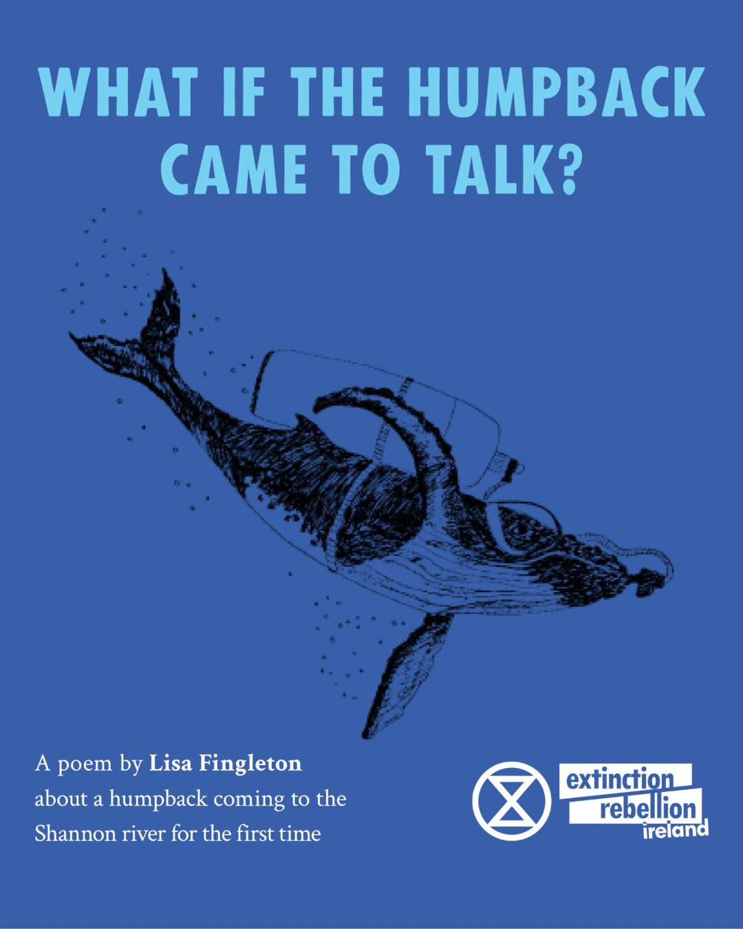 What if the Humpback came to talk?
A poem by Lisa Fingleton about a humpback coming to the Shannon river for the first time.