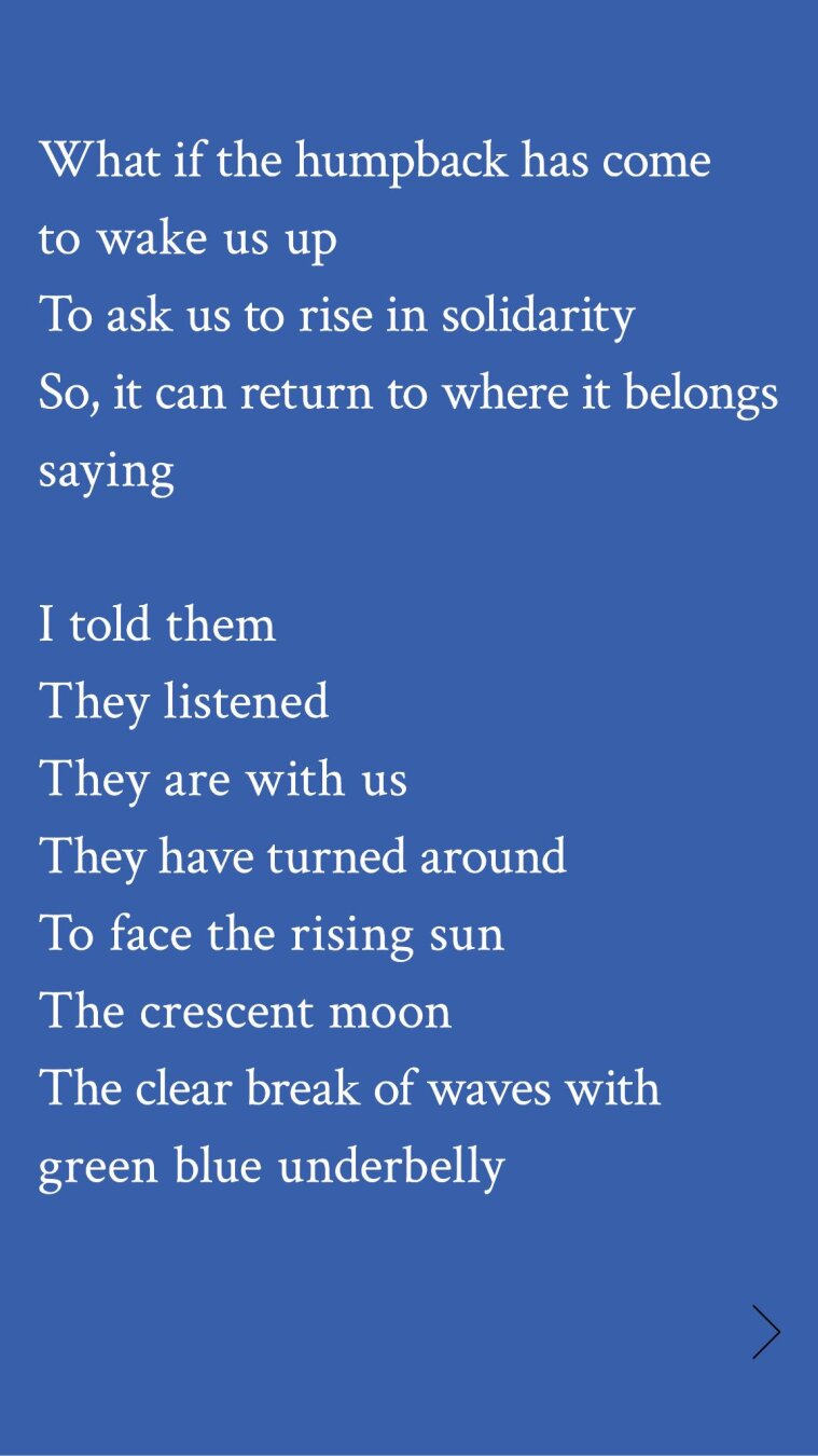 What if the humpback has come to wake us up
To ask us to rise in solidarity
So, it can return to where it belongs saying

I told them 
They listened
They are with us
They have turned around
To face the rising sun
The crescent moon
The clear break of waves with green blue underbelly