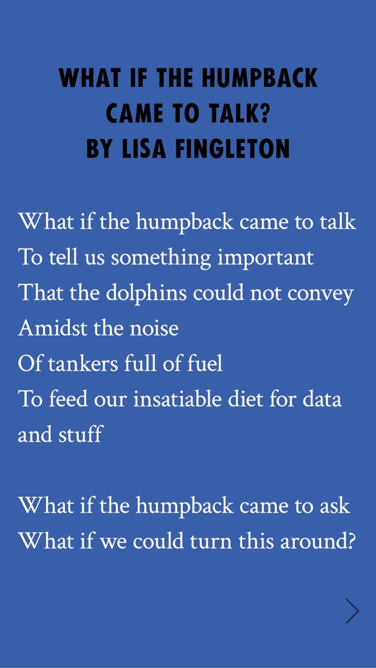 WHAT IF THE HUMPBACK
CAME TO TALK?
BY LISA FINGLETON
What if the humpback came to talk
To tell us something important
That the dolphins could not convey
Amidst the noise
Of tankers full of fuel
To feed our insatiable diet for data
and stuff
What if the humpback came to ask
What if we could turn this around?