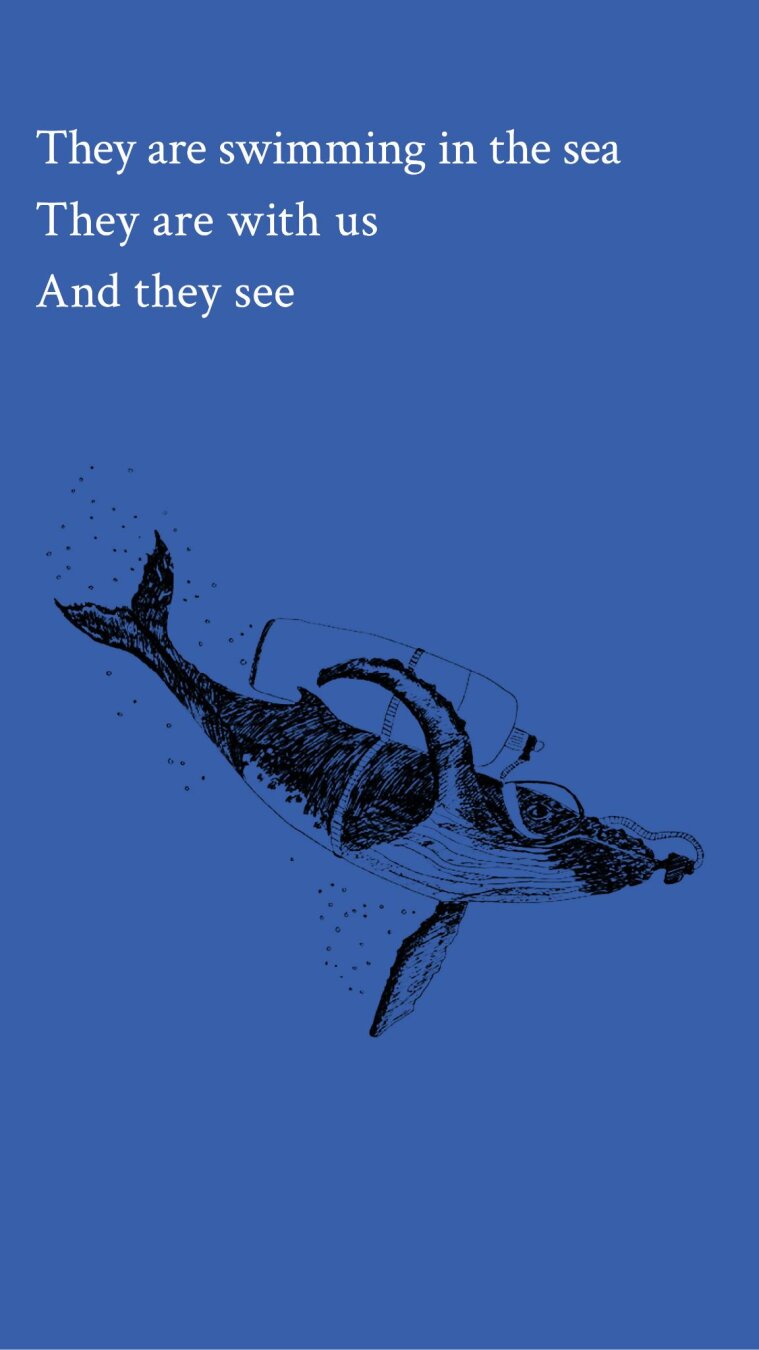 They are swimming in the sea
They are with us
And they see