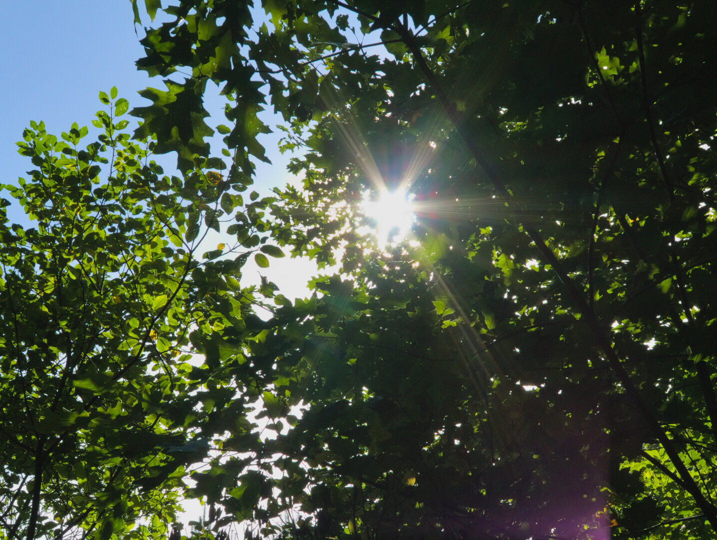 Beginning of autumn – forest in southern Poland
