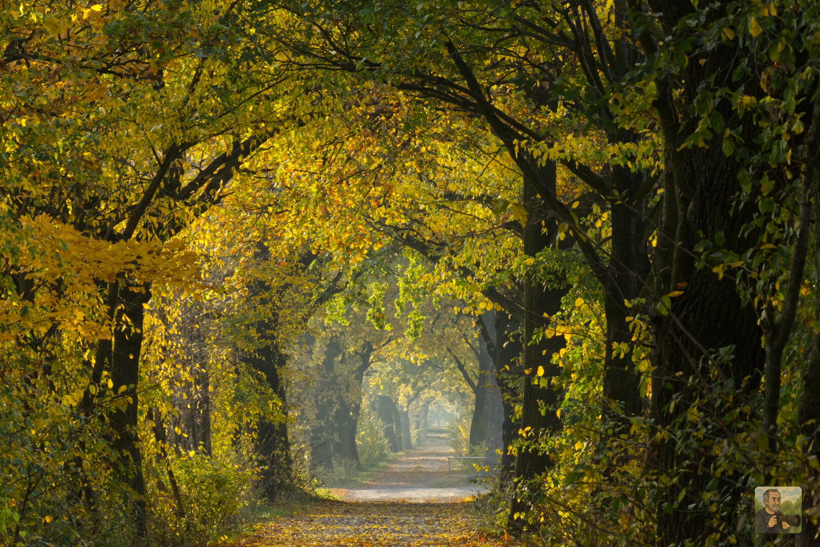 Autumn in Upper Silesia, Poland
