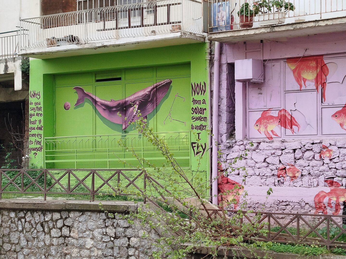 close up on a graffiti with a whale on green background on an old building