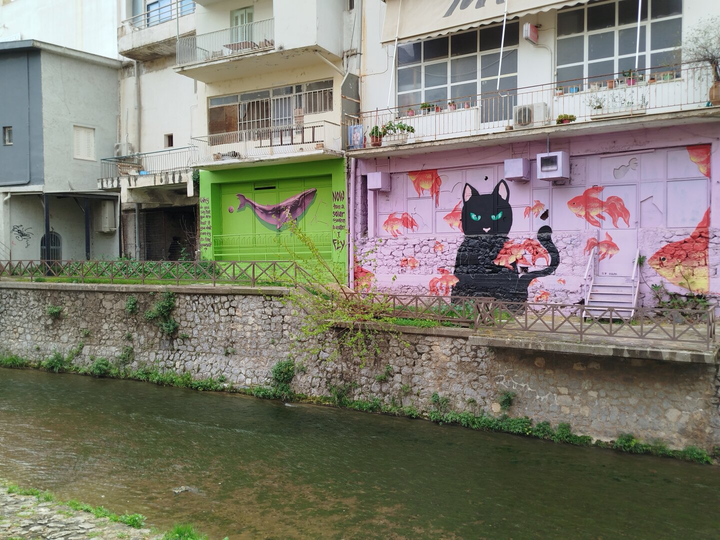 a small river passing an urban site. there are two murals in old buildings by the river, one with a whale on green background and  a second with a black cat with light blue background with a bunch of goldfish