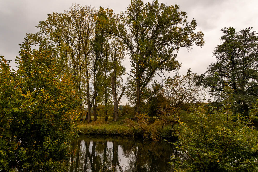 Autumn scene by the Ruhr River with tall trees and dense green-yellow foliage reflecting in the calm water under an overcast sky. The soft light enhances the warm, earthy tones of the season.
Herbstliche Szene am Ruhrufer mit hohen Bäumen und dichtem grün-gelbem Laub, das sich im stillen Wasser unter einem bewölkten Himmel spiegelt. Das weiche Licht betont die warmen, erdigen Farbtöne der Jahreszeit.