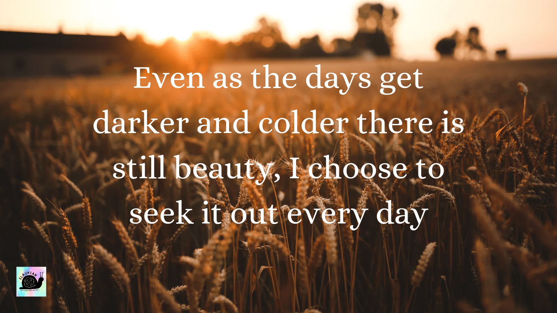 The background is a field of wheat, with a low sun at the horizon. In the middle, in white writing, it says:
Even as the days get darker and colder there is still beauty, I choose to seek it out every day