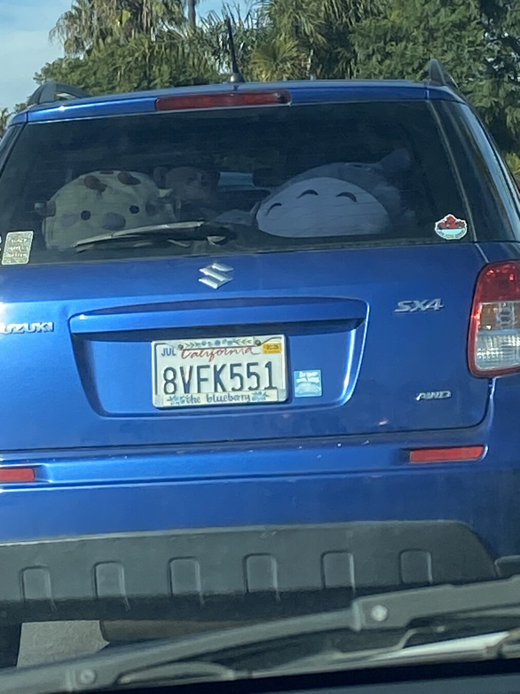 The blueberry 🩵🫐😂💙