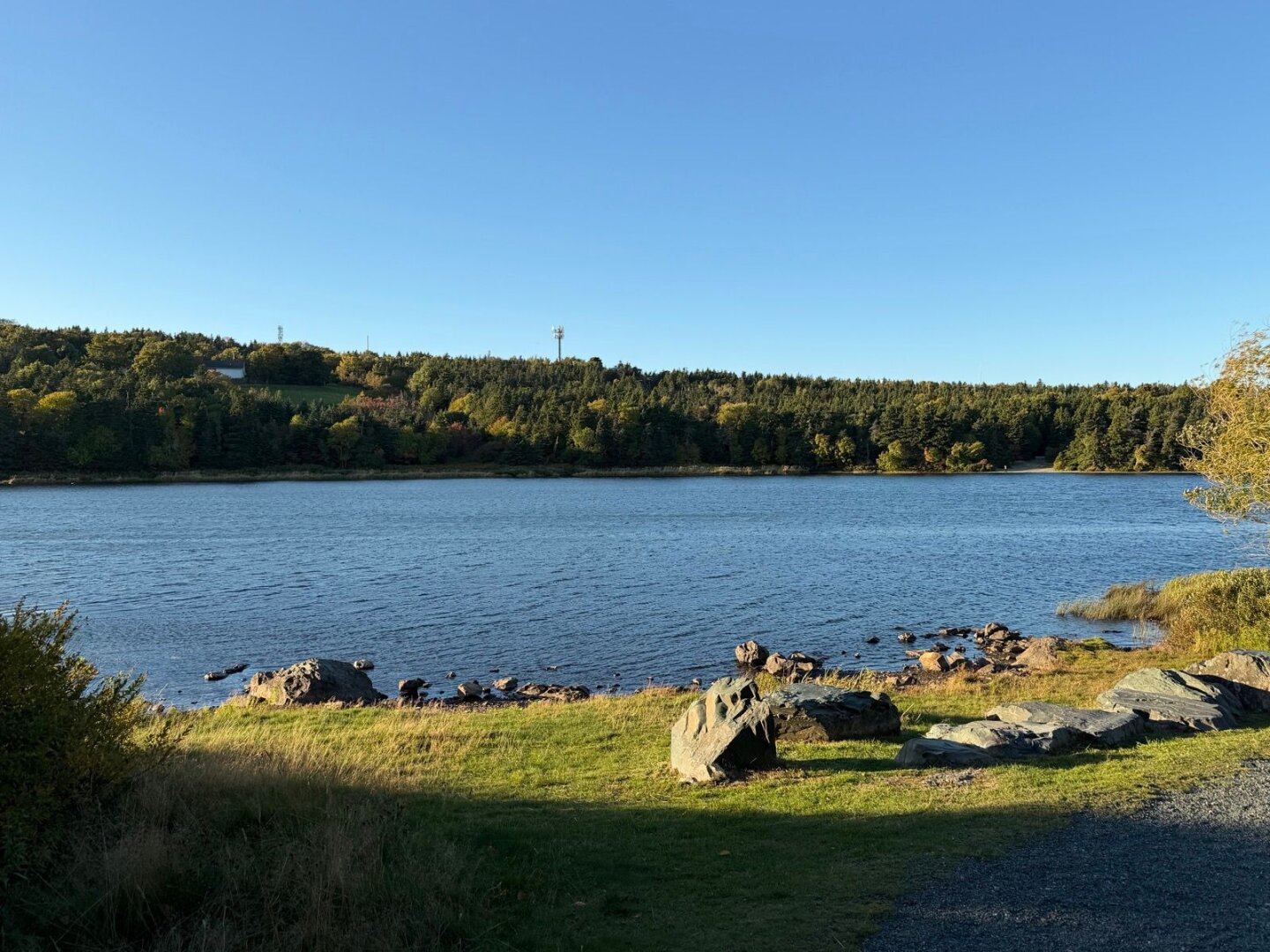 Long Pond, near MUN, in the fall