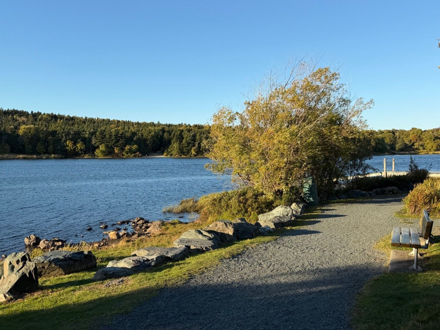 Long Pond, near MUN, in the fall
