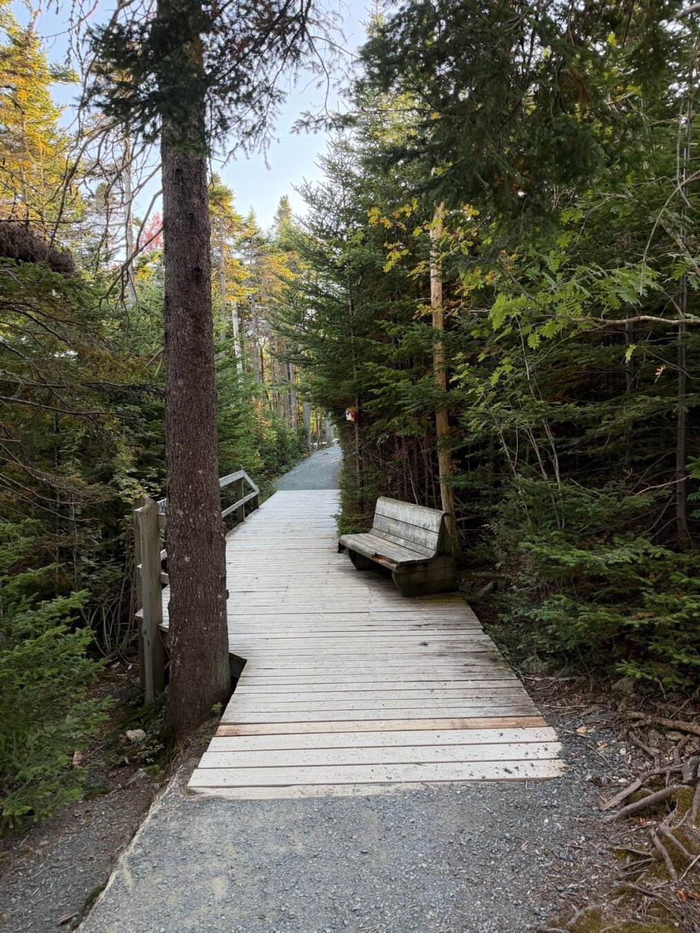 A path along the Long Pond trail