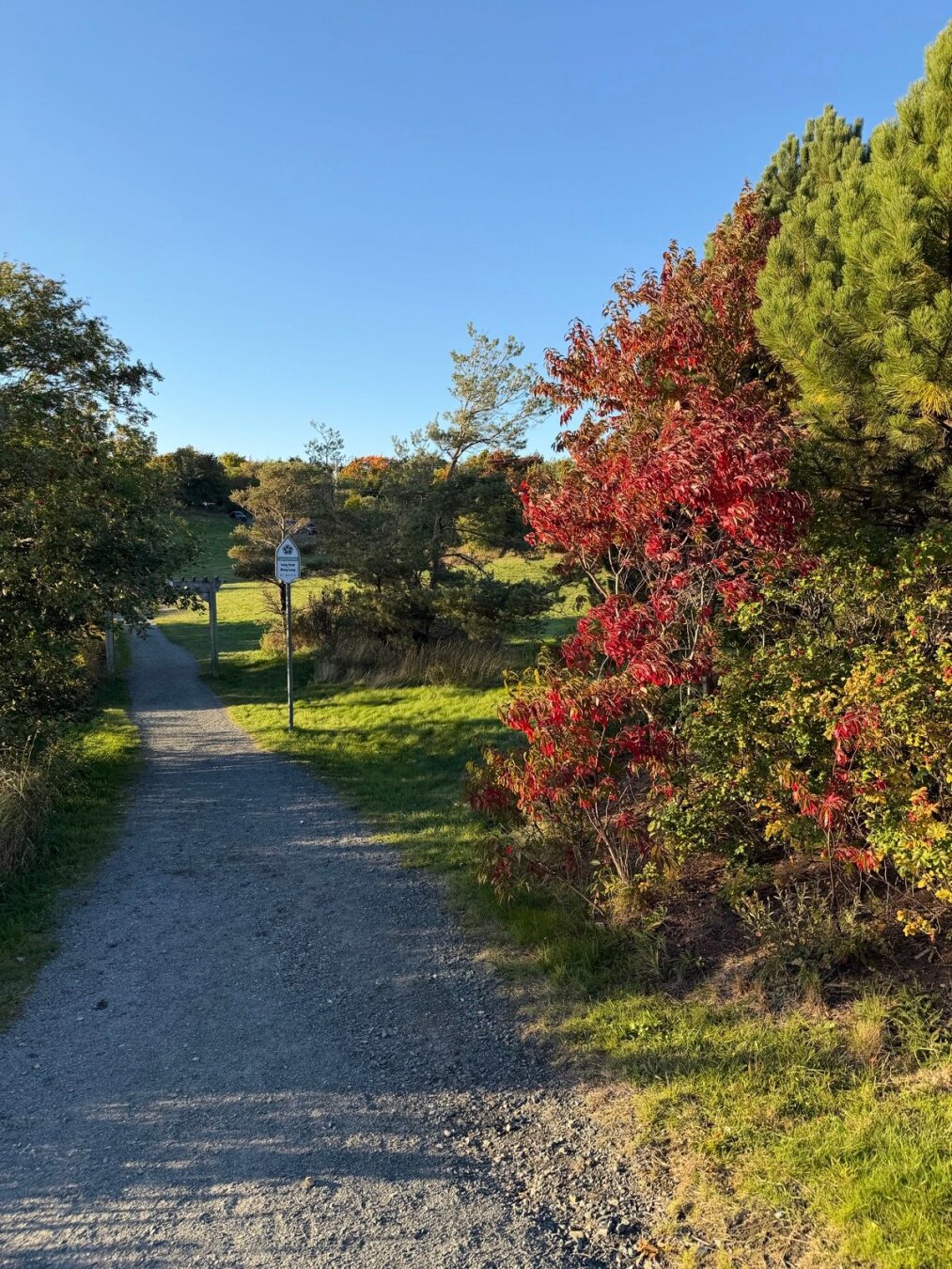 Long Pond, near MUN, in the fall