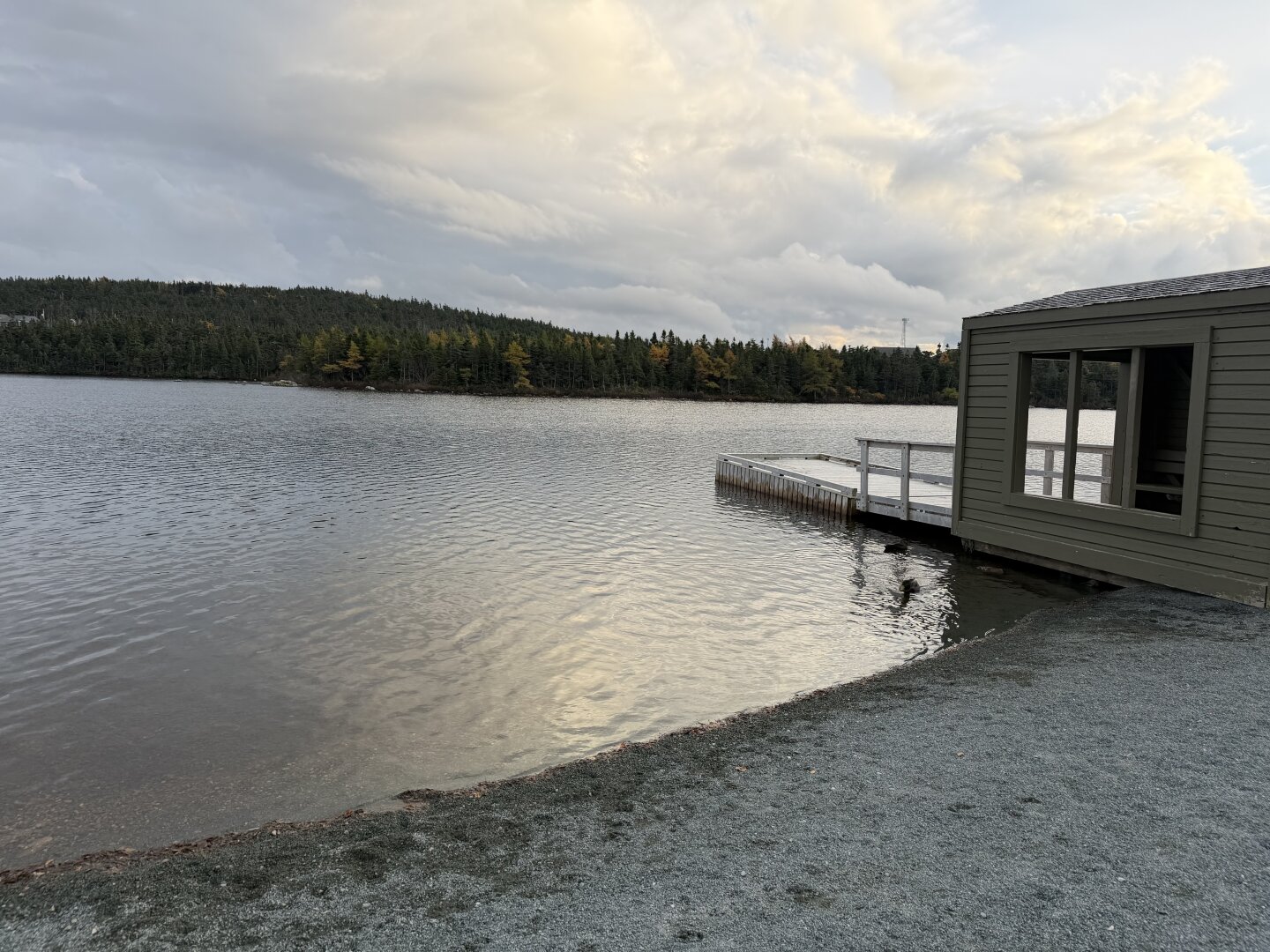 Neils Pond on a cloudy fall day.