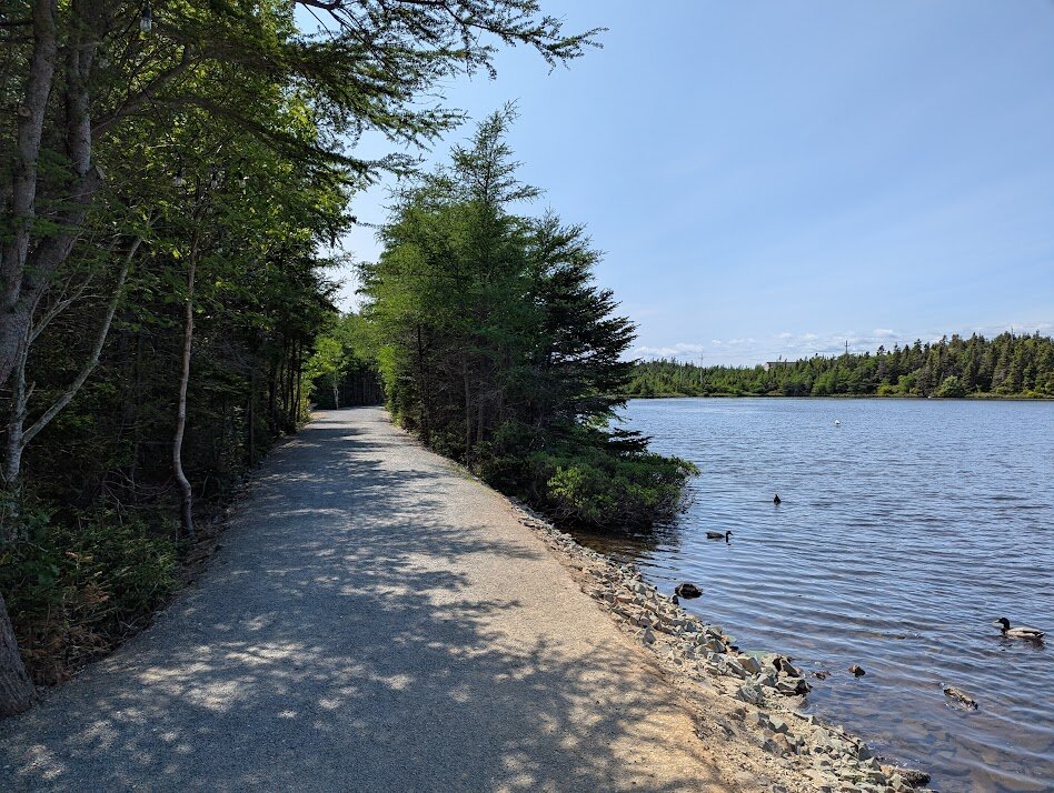 A walking trail next to a pond on a sunny day