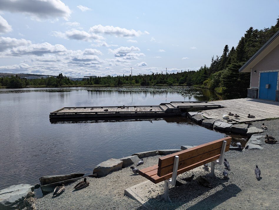 A bench next to Power's Pond