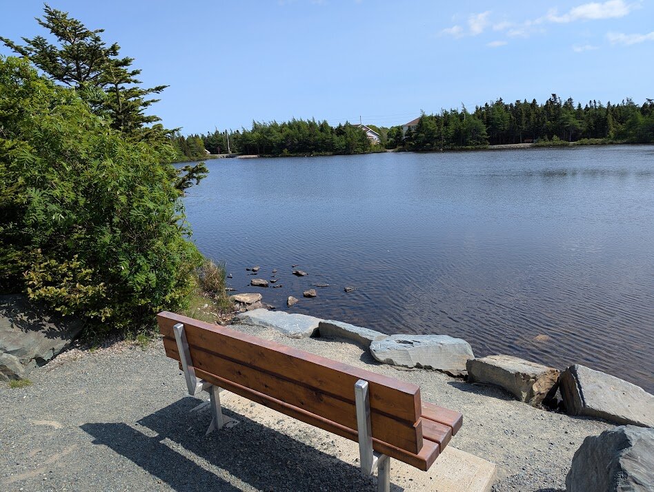 A bench and some trees next to Power's Pond