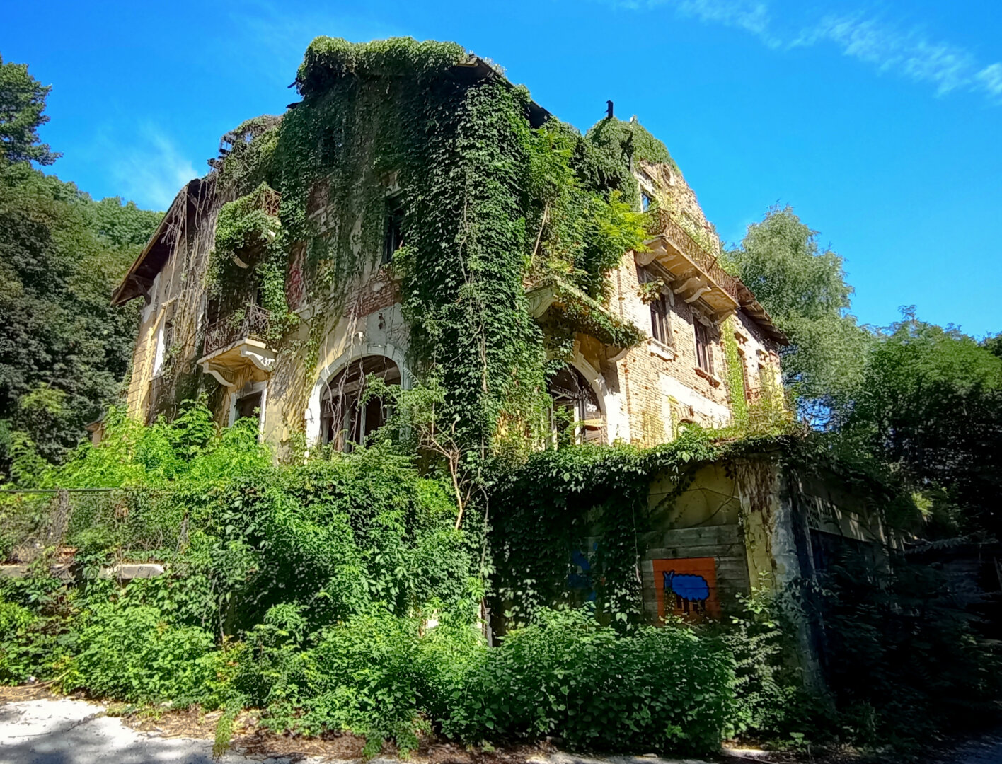 Standing on a sun-lit clearing is a decaying old building overgrown with vegetation and surrounded by lush green forest.