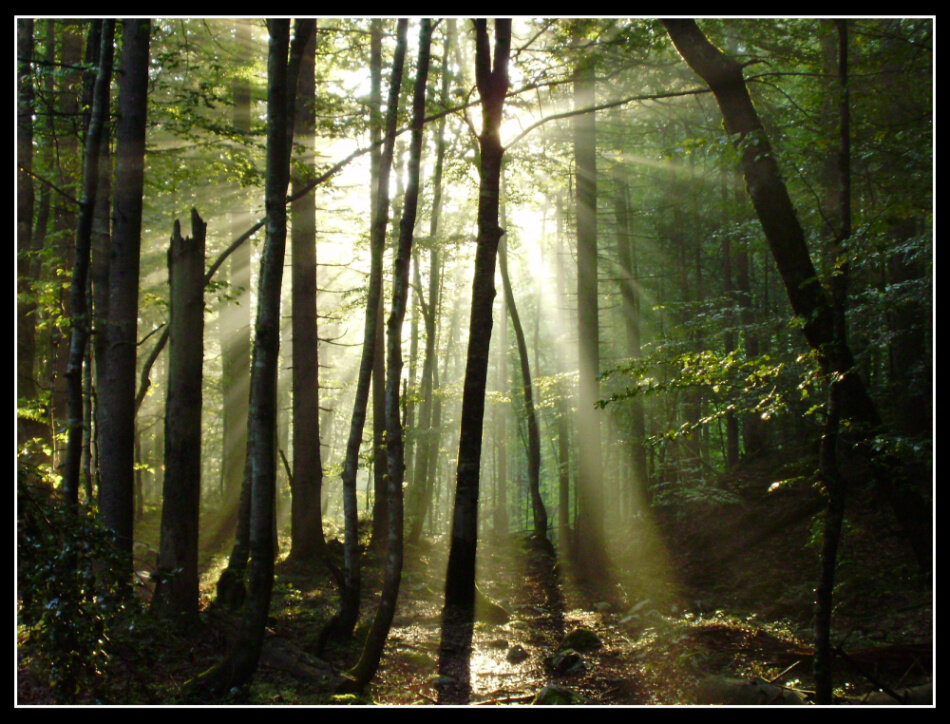 In the real of fairies, the Vrata Valley,