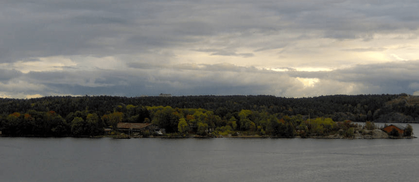 Forested island in the bay
