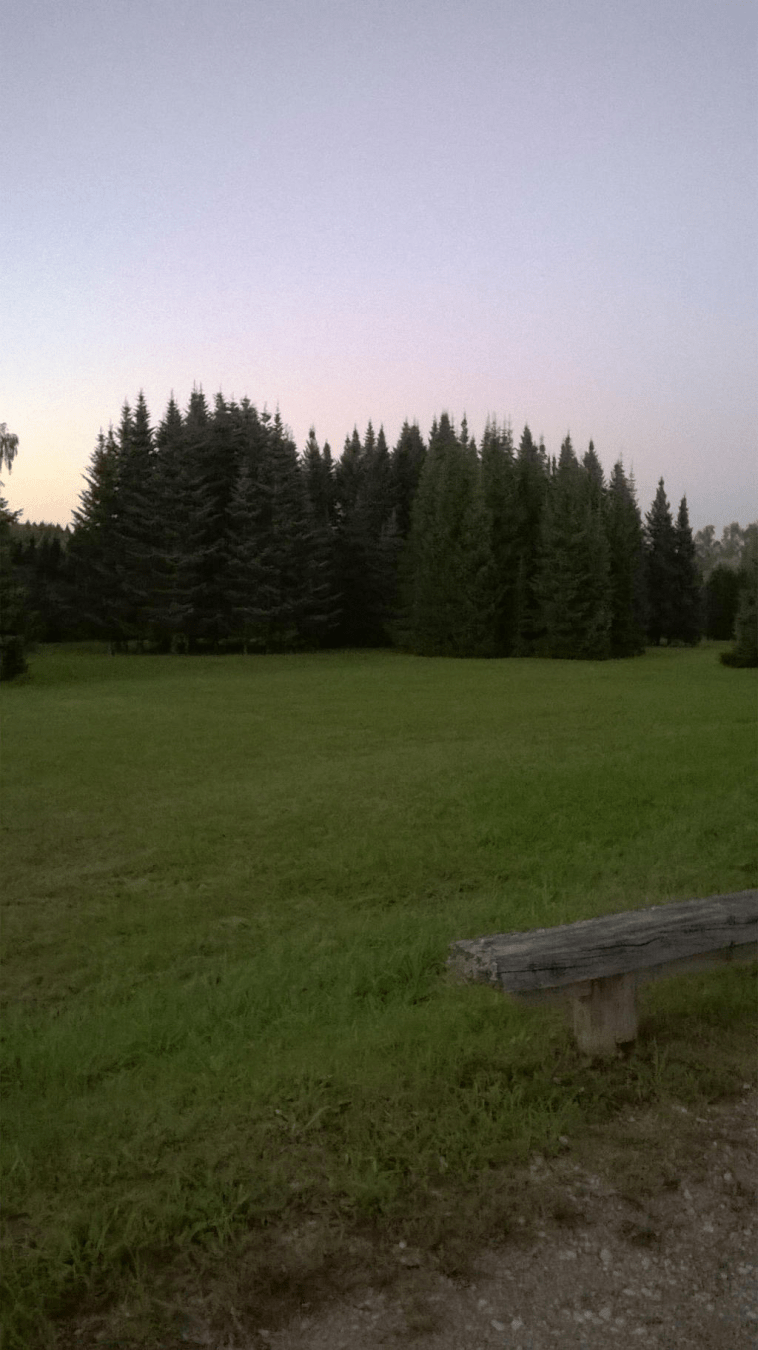 Patch of trees in the distance, with cut grass between the road and trees, the sky darkening due to the setting sun