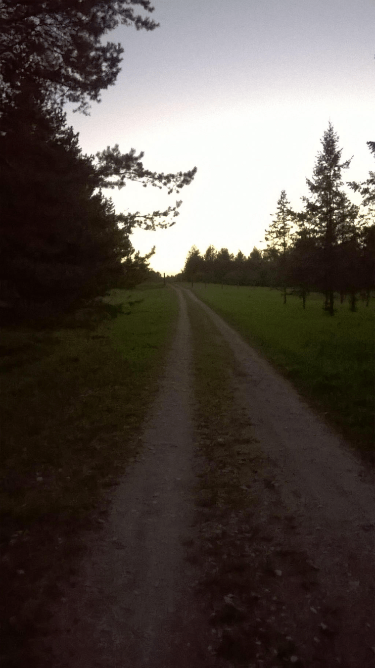 Dirt road through a forested area, the sky bright from the setting sun