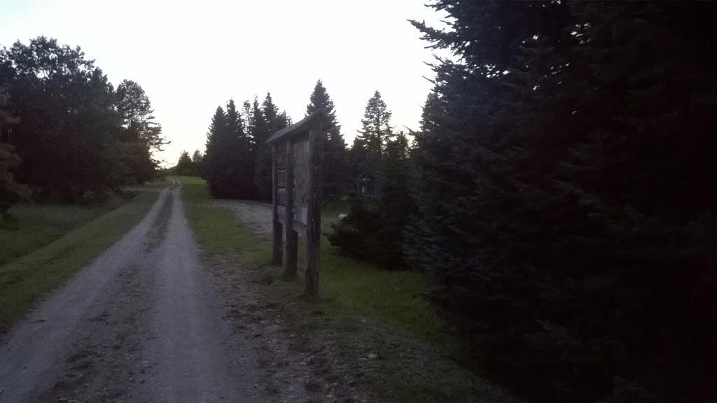 Wooden notice board by the dirt road through a lightly forested area, the sky bright from the setting sun