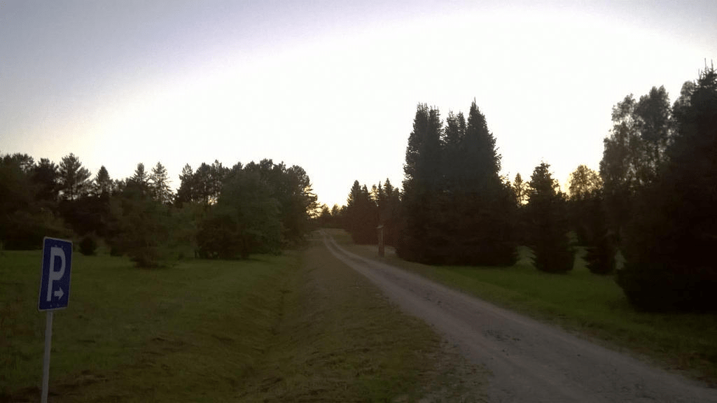 Dirt road thoruhg a lightly forested area, with the sky bright from the setting sun