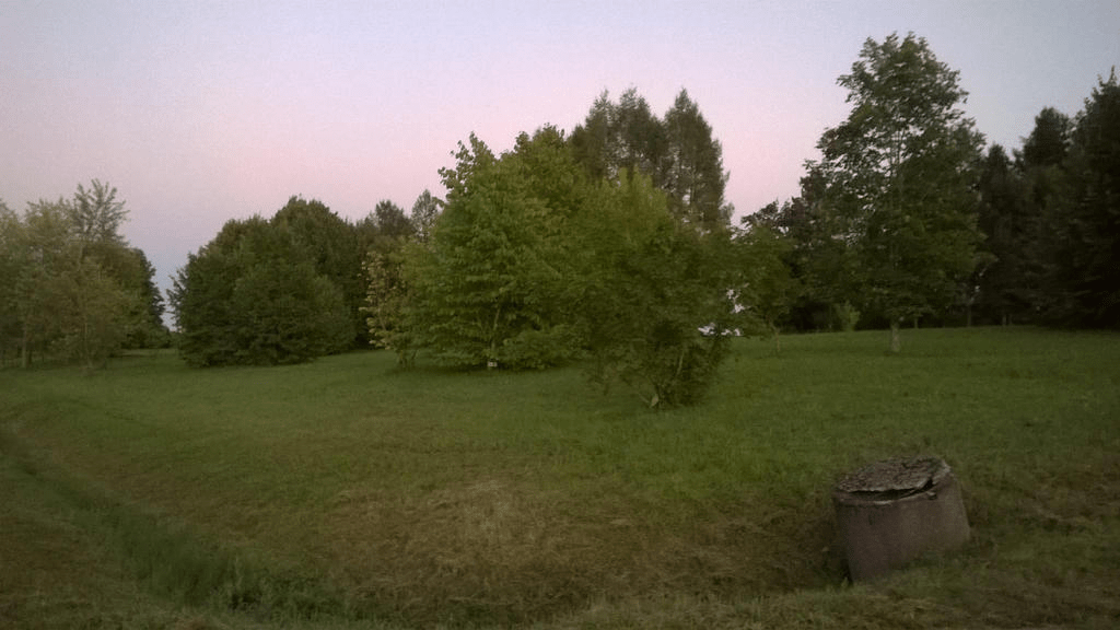 Bushes and trees on a hill, with a ditch at the bottom of the hill, with  concrete pipe in it, with the sky dusted by the setting sun