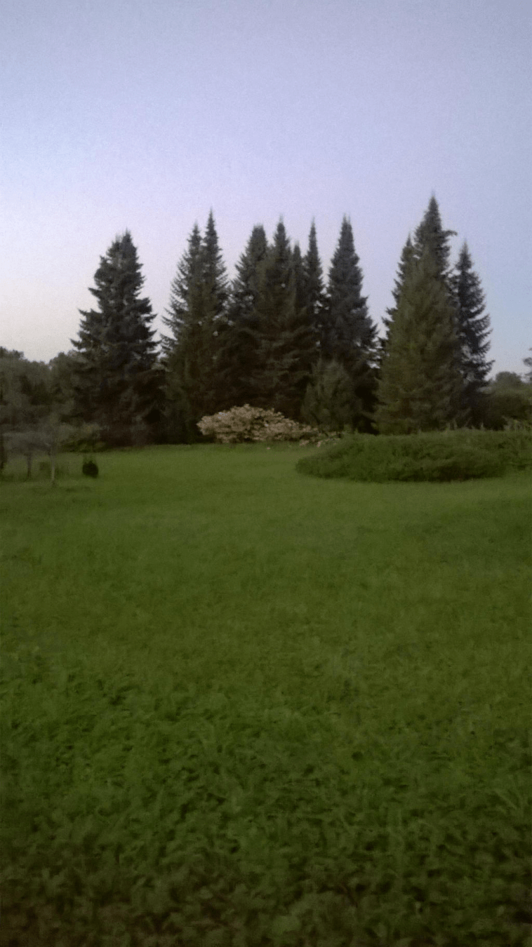 Patches of trees and bushes scattered across the field, the sky dusted by the setting sun
