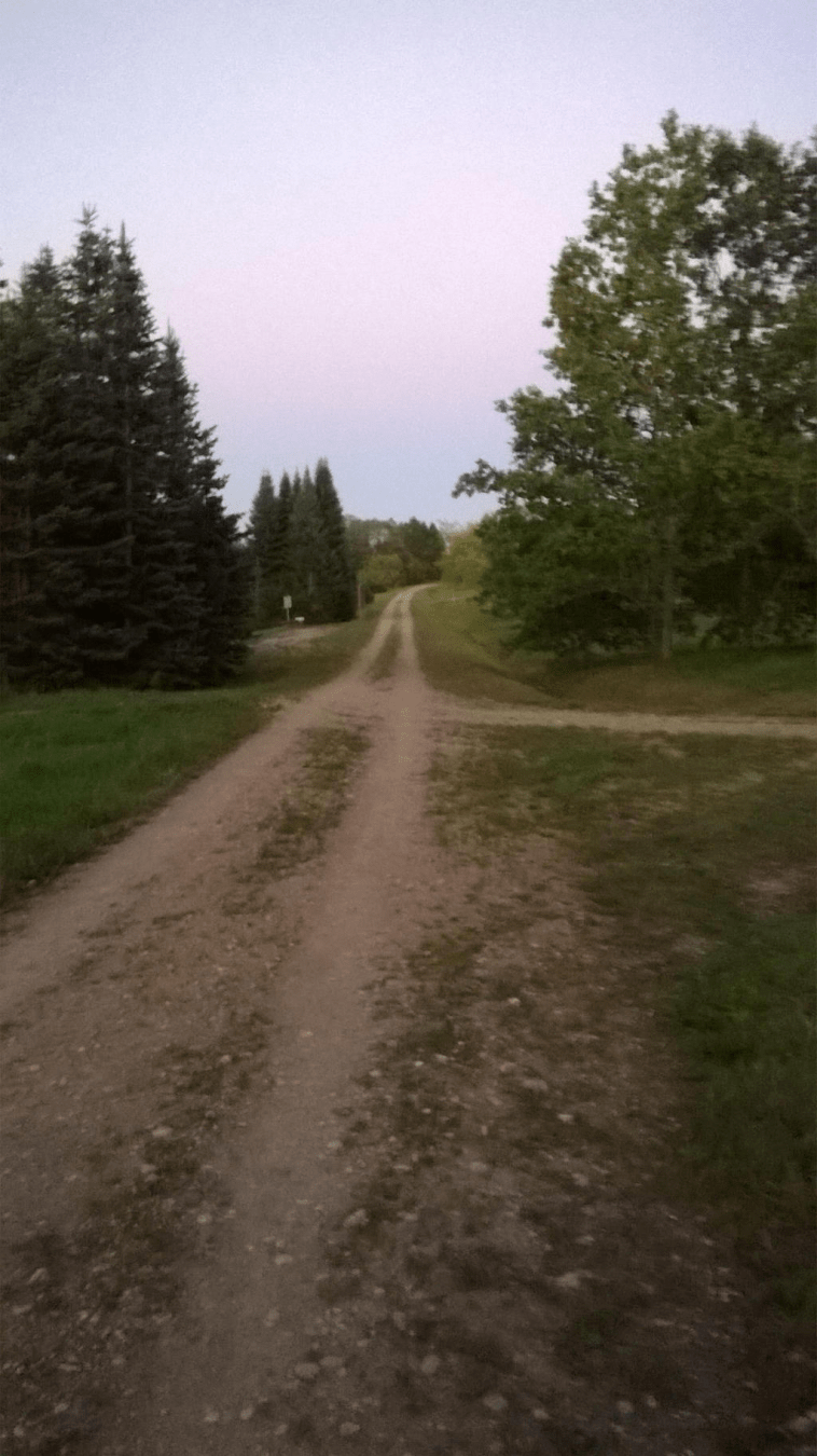Dirt road through a forested area, the sky dusted by the setting sun