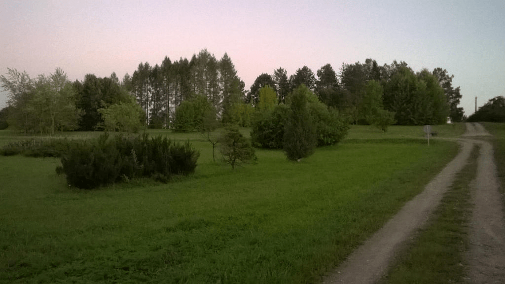 A lush green field with bushes and trees speckled around the area, by the dirt roads and ditches