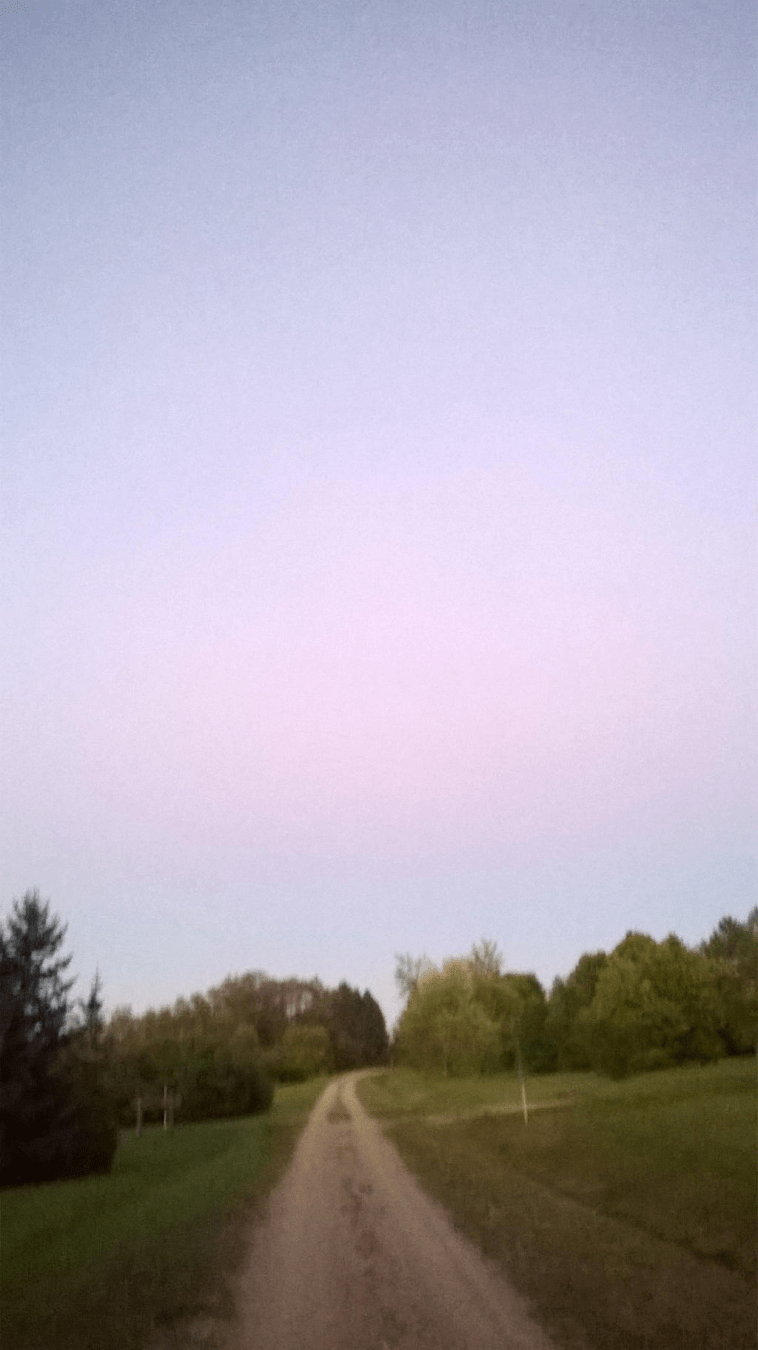 Blurry photo of the dirt road through the forested area, focus more on the sky, dusted pink by the setting sun
