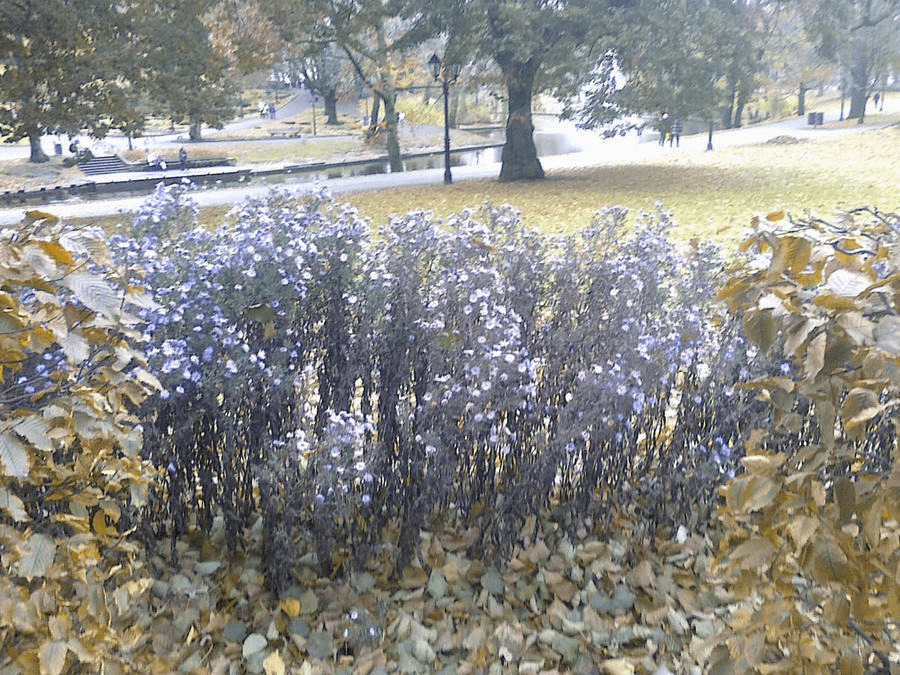 Wacky Weather [29.07.14]