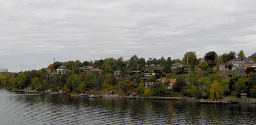 Forested island with a lot of homes and docks on it