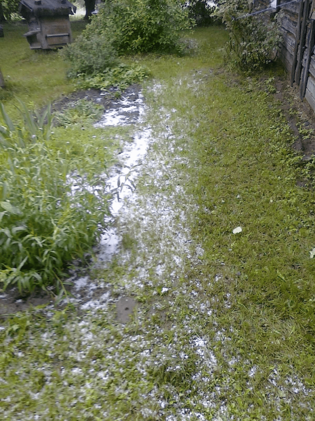 Small backyard area, wth a flower bed and a wooden beehive visible in the corner, covered in hail