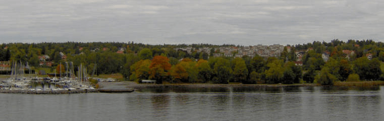 Photo of the Stockhokm docks, homes visible in the distance between the trees