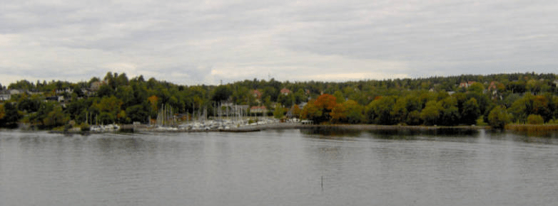 Docks with boats, homes visible through the trees